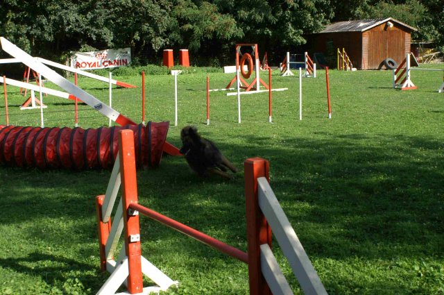 agility 2011-08